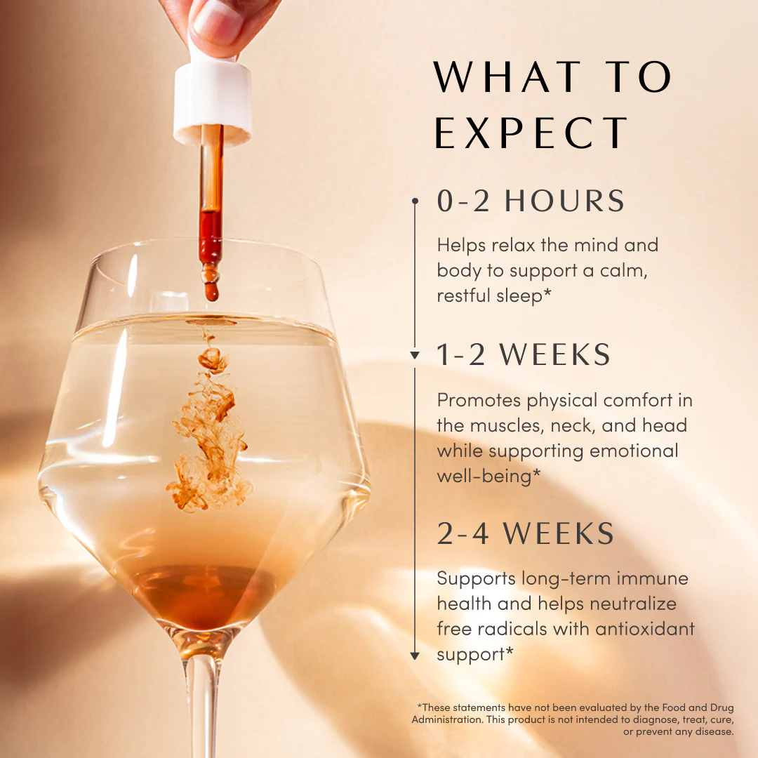 AM to PM Duo - Image 9